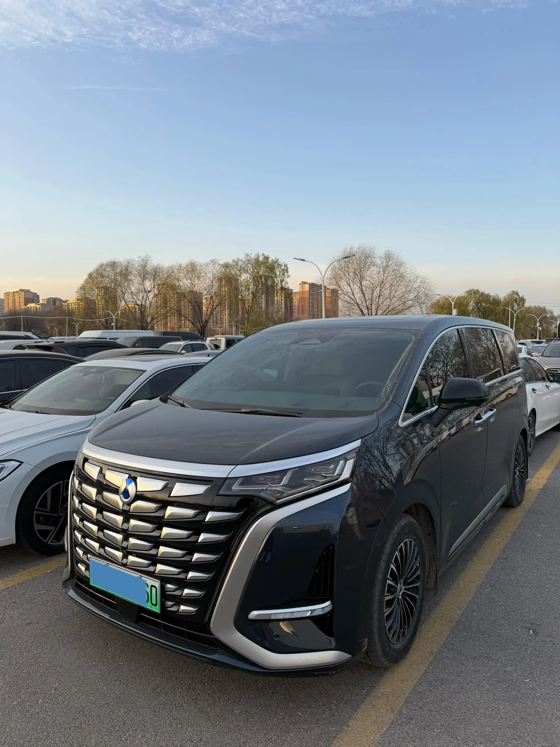 2022 DENZA D9 view 1