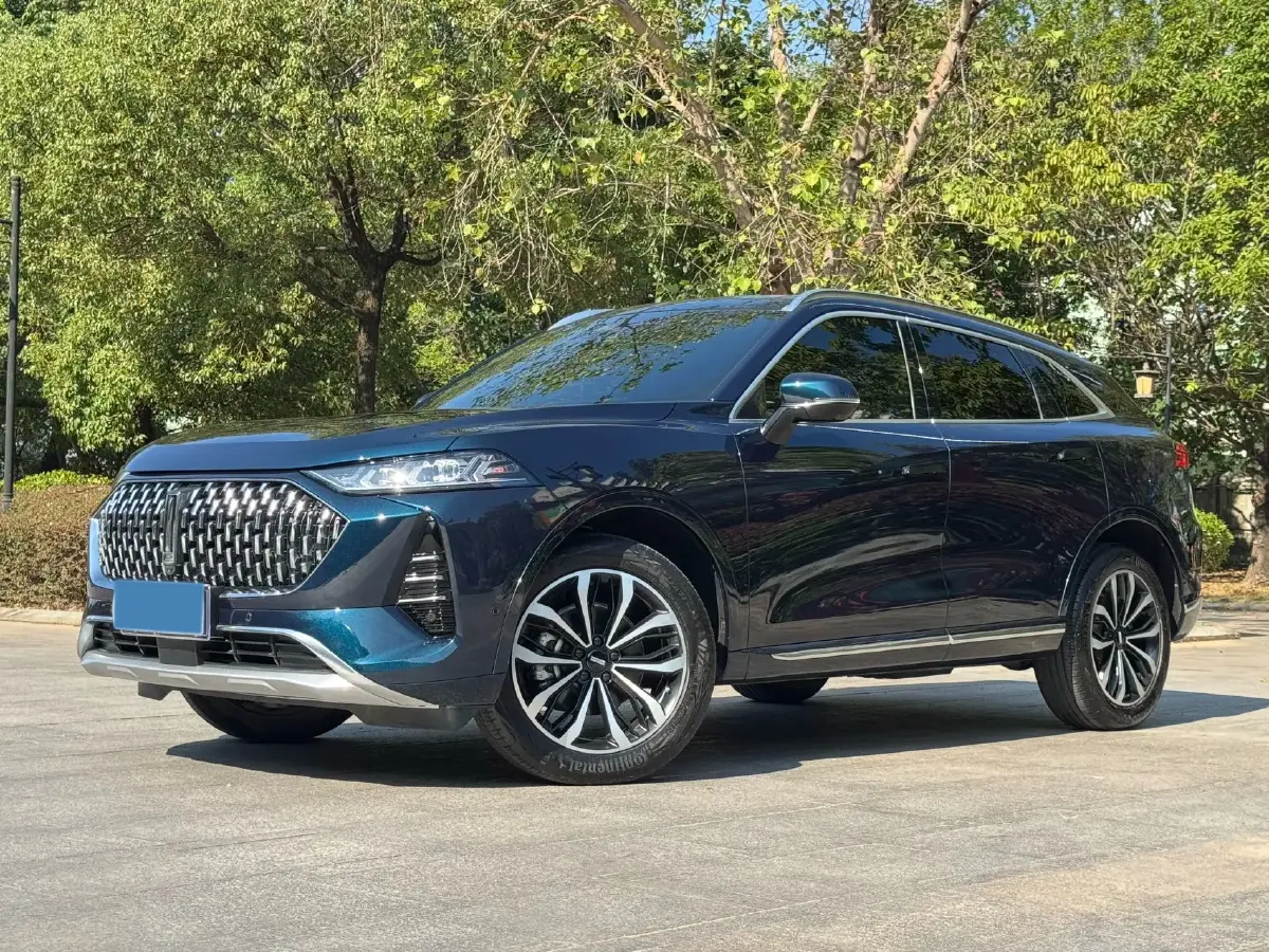 2021 WEY Mocha 2.0T 214HP L4 9DCT