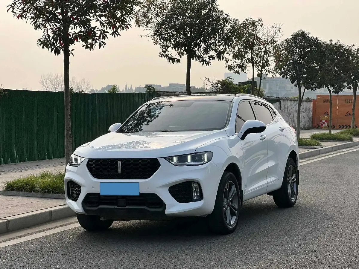 2019 WEY VV5 1.5T 169HP L4 7DCT