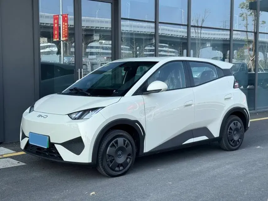 2025 BYD Seagull BEV 30.08KWH