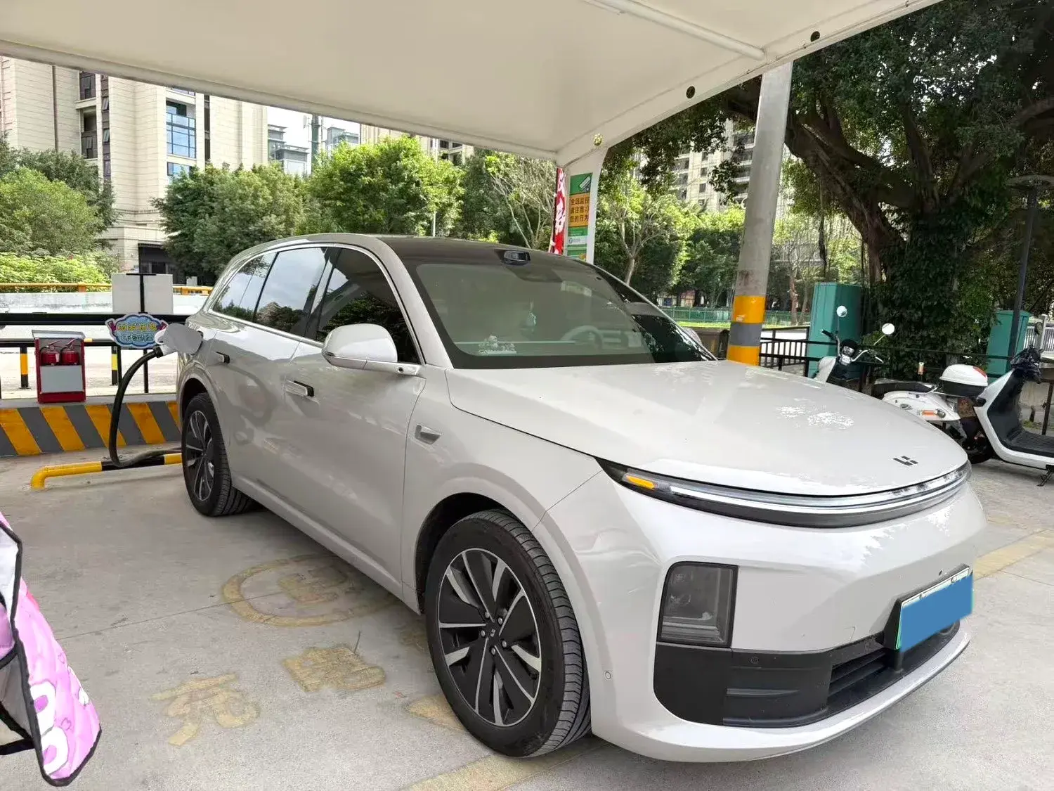 2025 LI L6 thumbnail 3