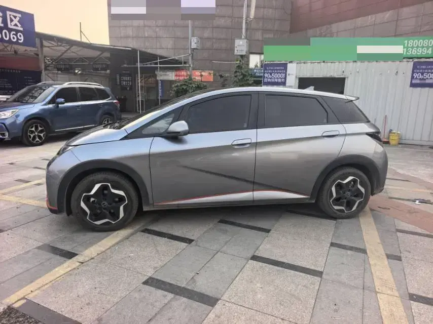 2021 BYD DOLPHIN thumbnail 2