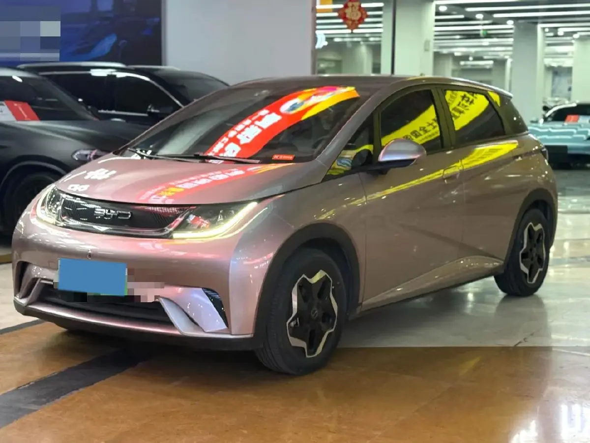 2021 BYD Dolphin BEV 44.9KWH