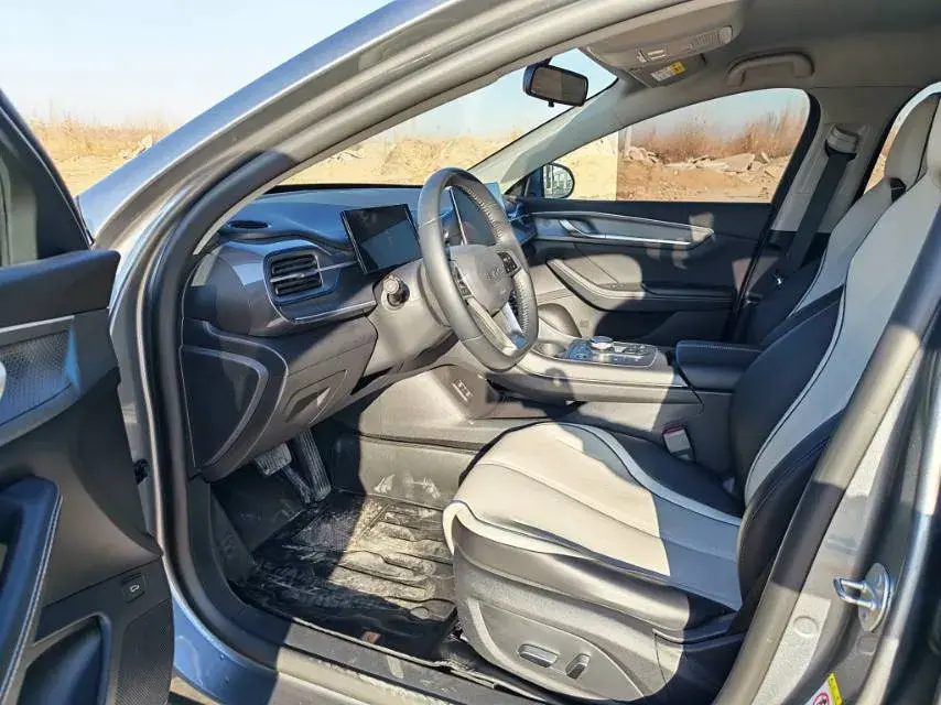 2023 BYD DESTROYER thumbnail 2