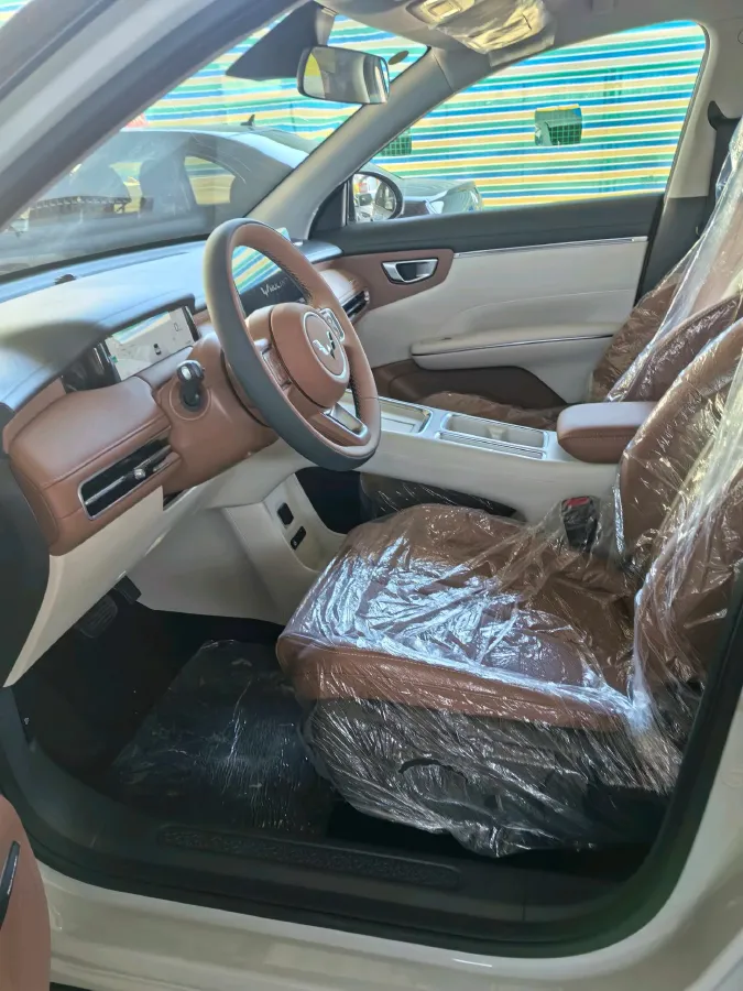 2025 WuLing BinGuo S BEV,autocango,china used car exporter,china ev exporter,chinese used car exporter,chinese used ev exporter