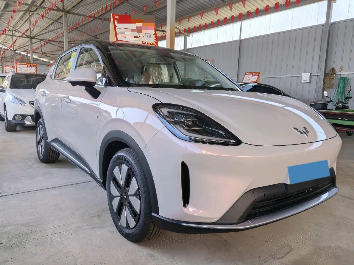 2025 WuLing BinGuo S BEV,autocango,china used car exporter,china ev exporter,chinese used car exporter,chinese used ev exporter