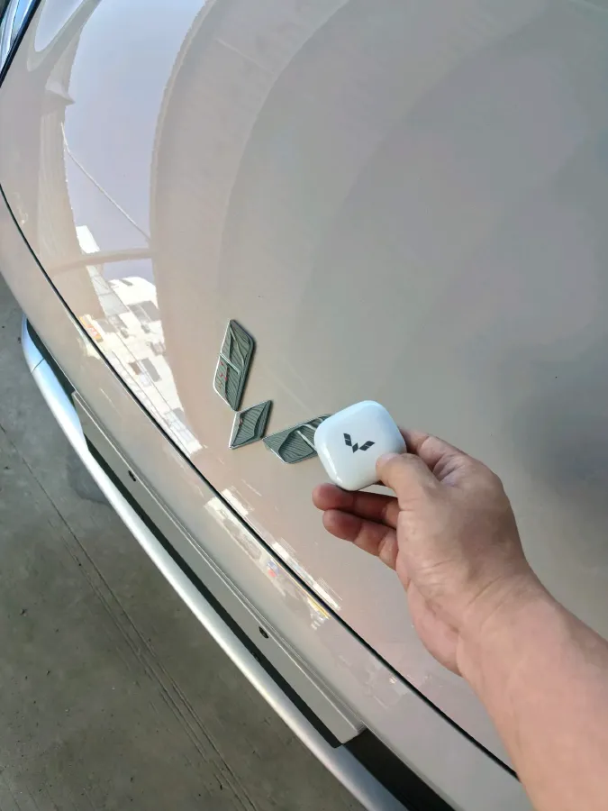 2025 WuLing BinGuo S BEV,autocango,china used car exporter,china ev exporter,chinese used car exporter,chinese used ev exporter