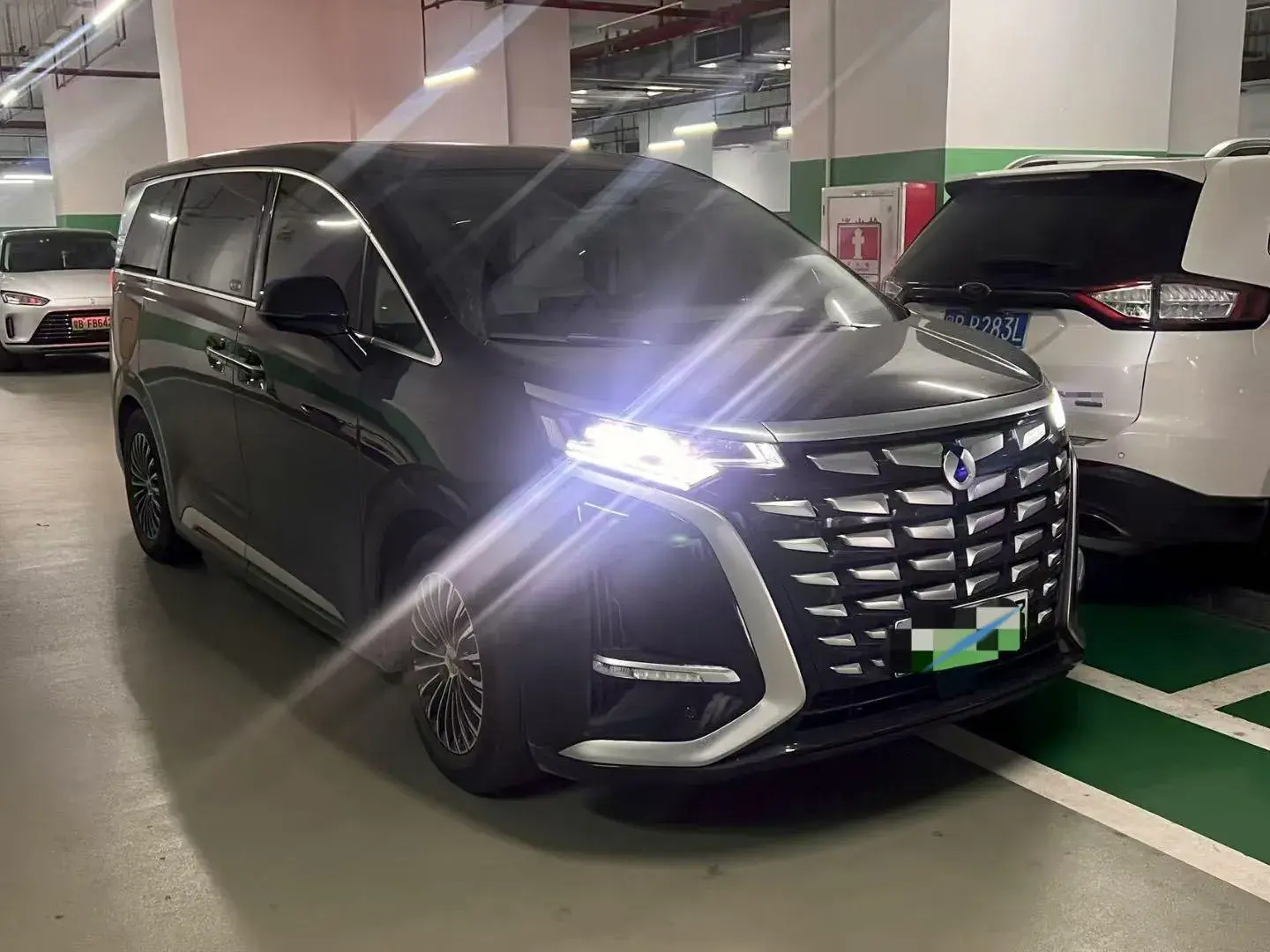 2024 DENZA D9 thumbnail 2