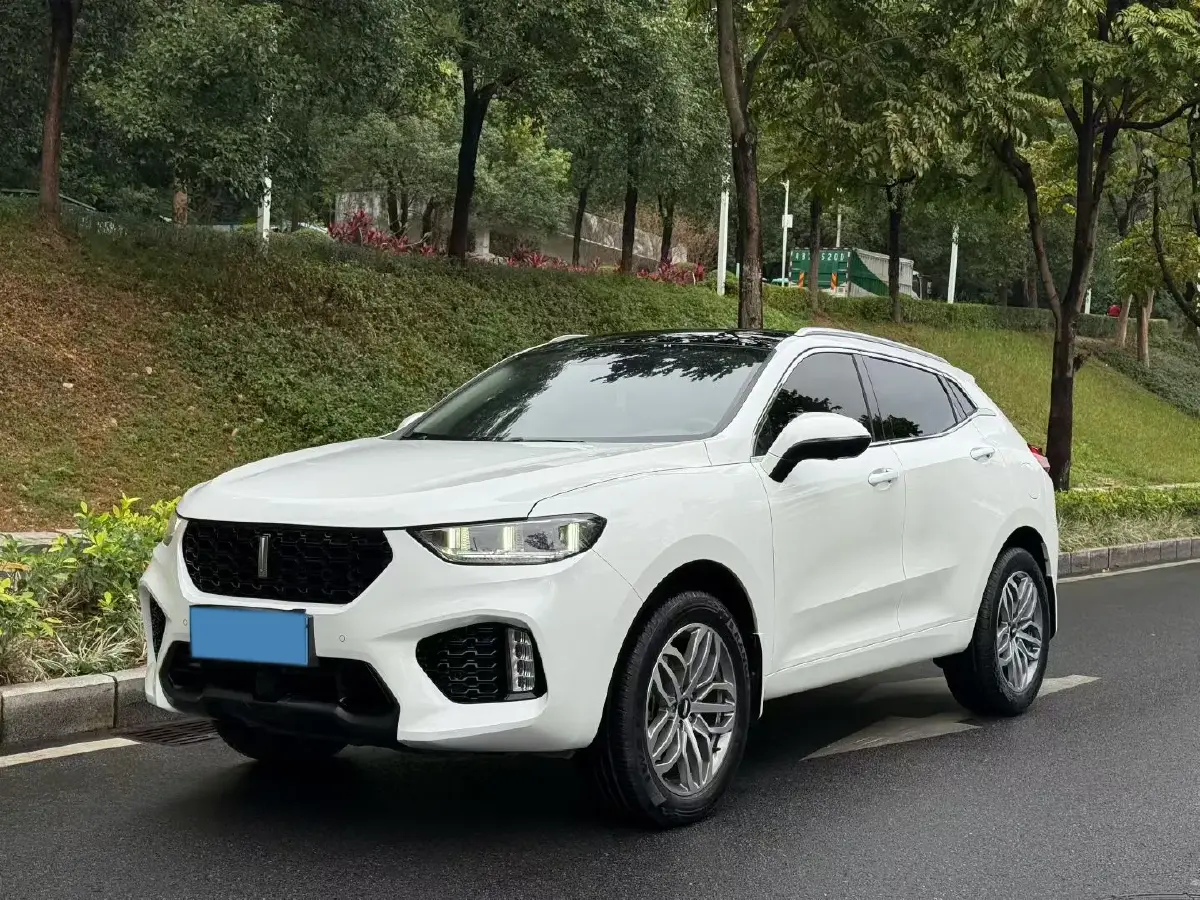 2019 WEY VV5 2.0T 224HP L4 7DCT