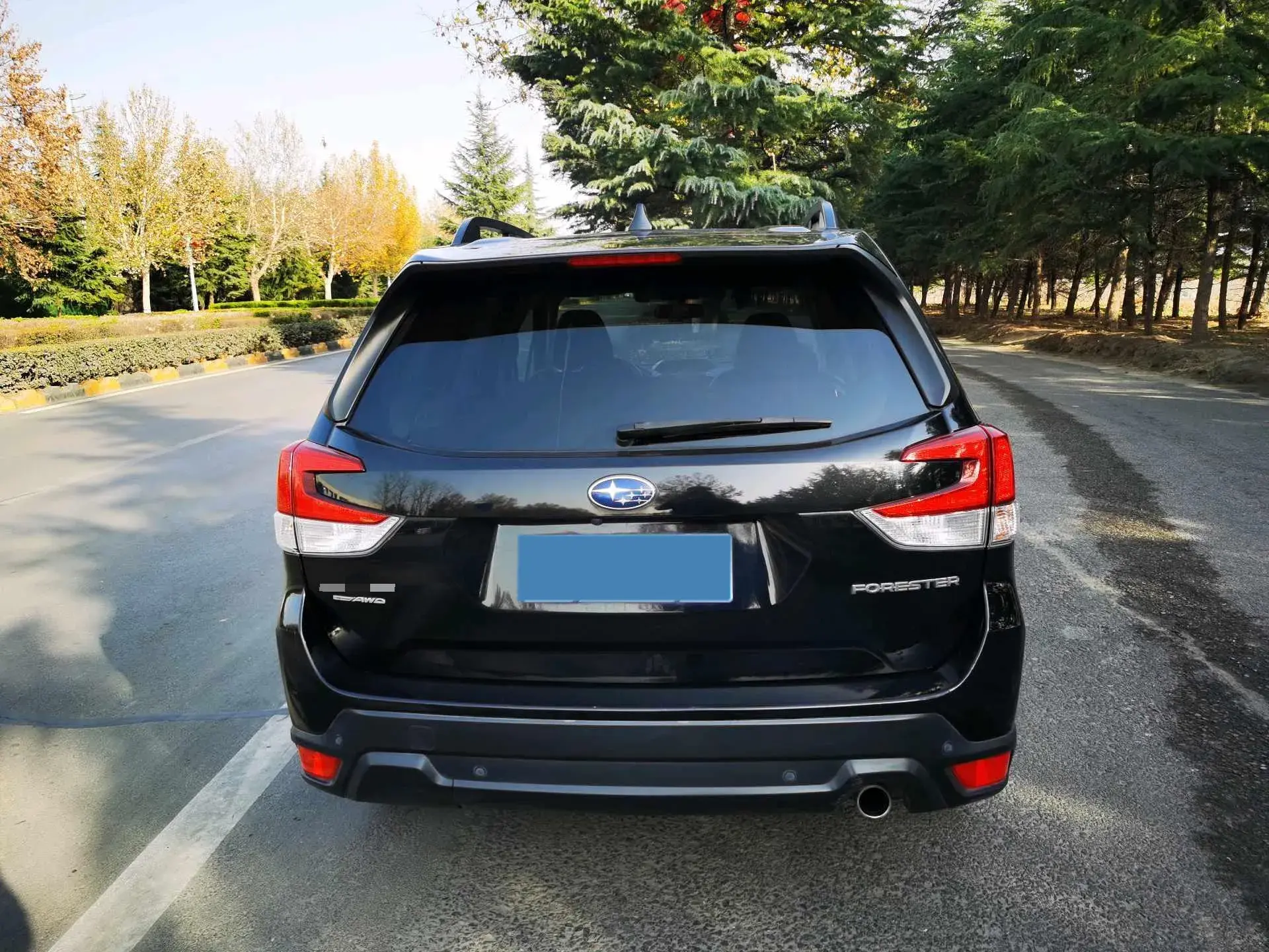 2019 SUBARU FORESTER thumbnail 3