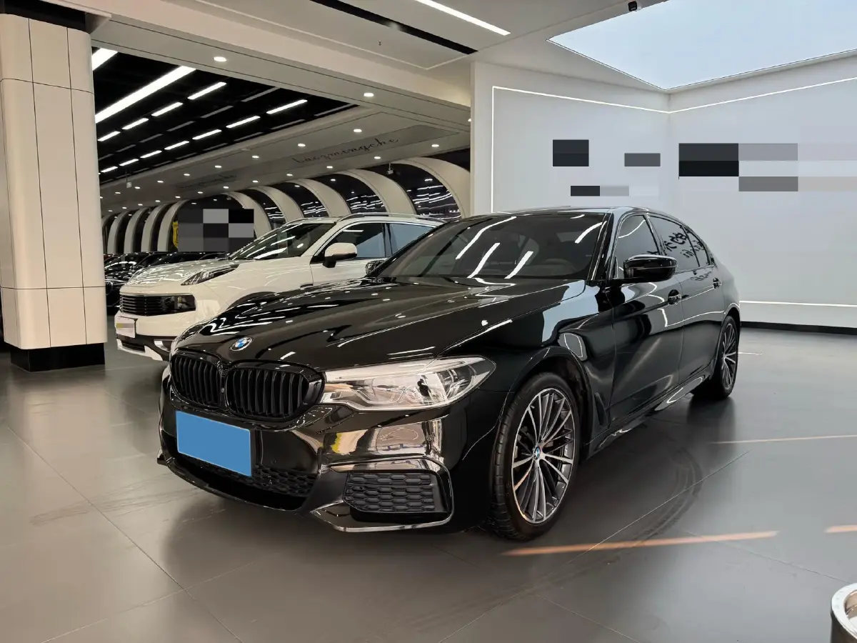 2020 BMW 5 Series 2.0T 252HP L4 8AT