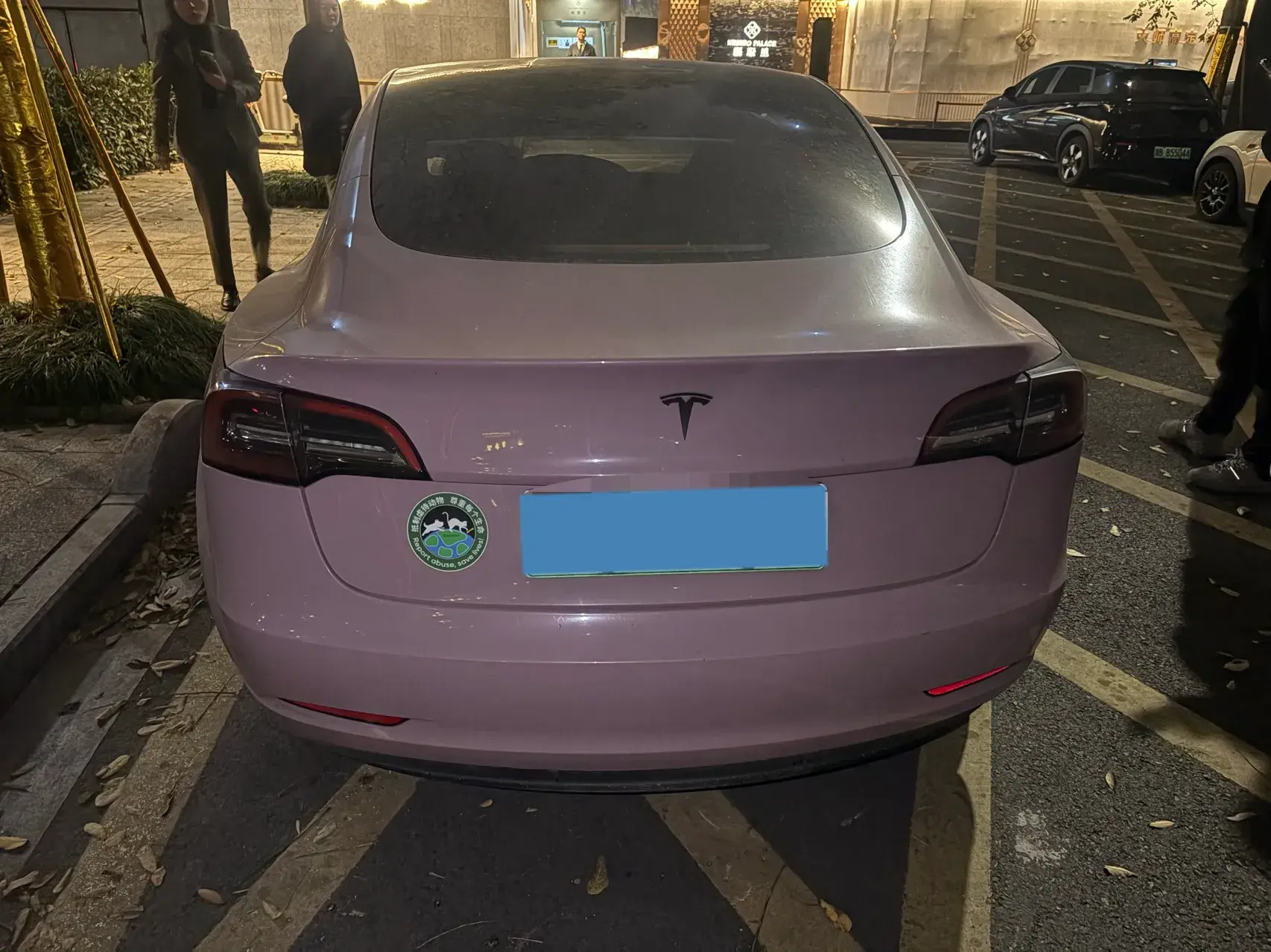 2021 TESLA MODEL thumbnail 3