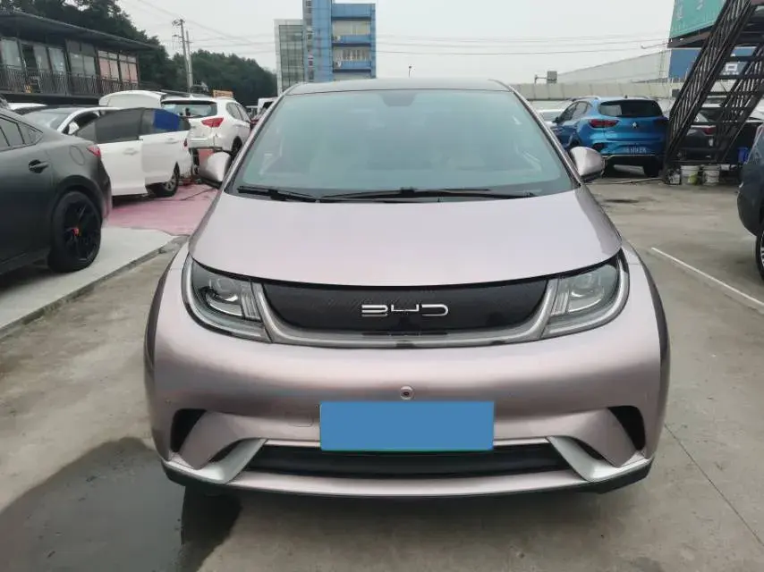 2023 BYD DOLPHIN thumbnail 2