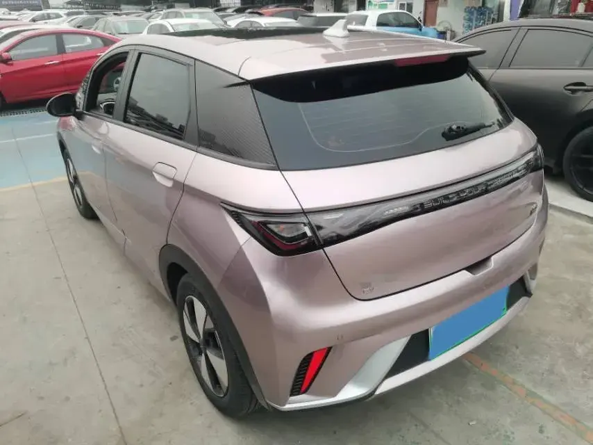 2023 BYD DOLPHIN thumbnail 4