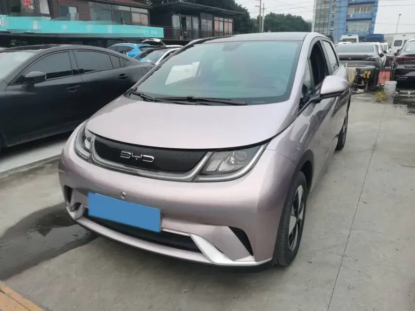 2023 BYD DOLPHIN view 1