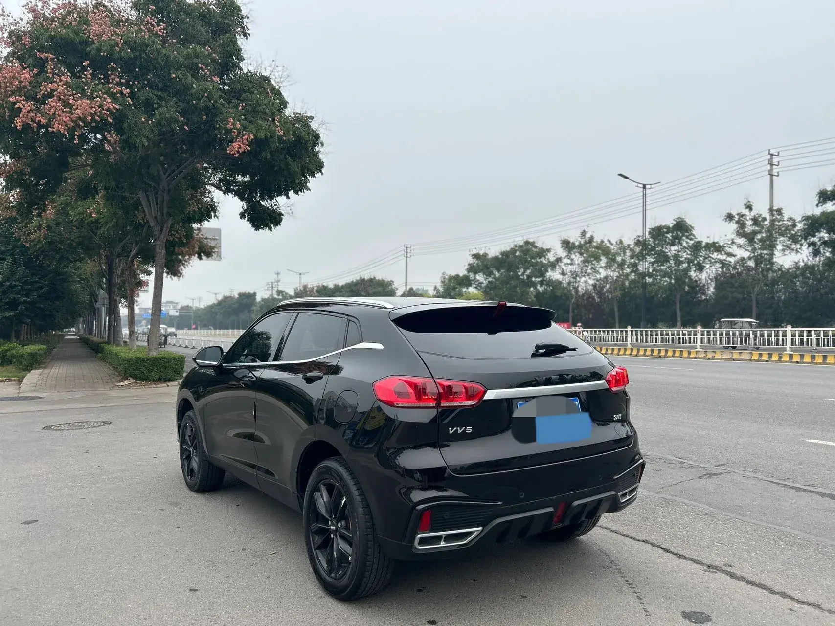 2020 WEY VV5 thumbnail 2