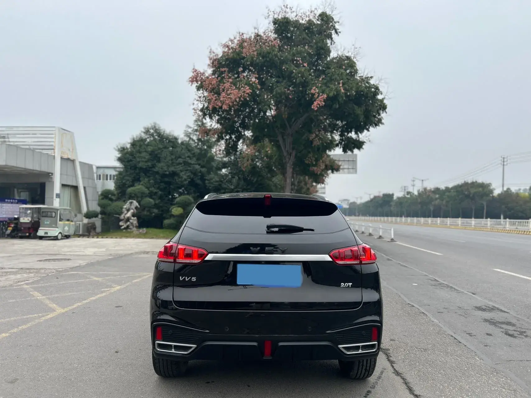 2020 WEY VV5 thumbnail 3