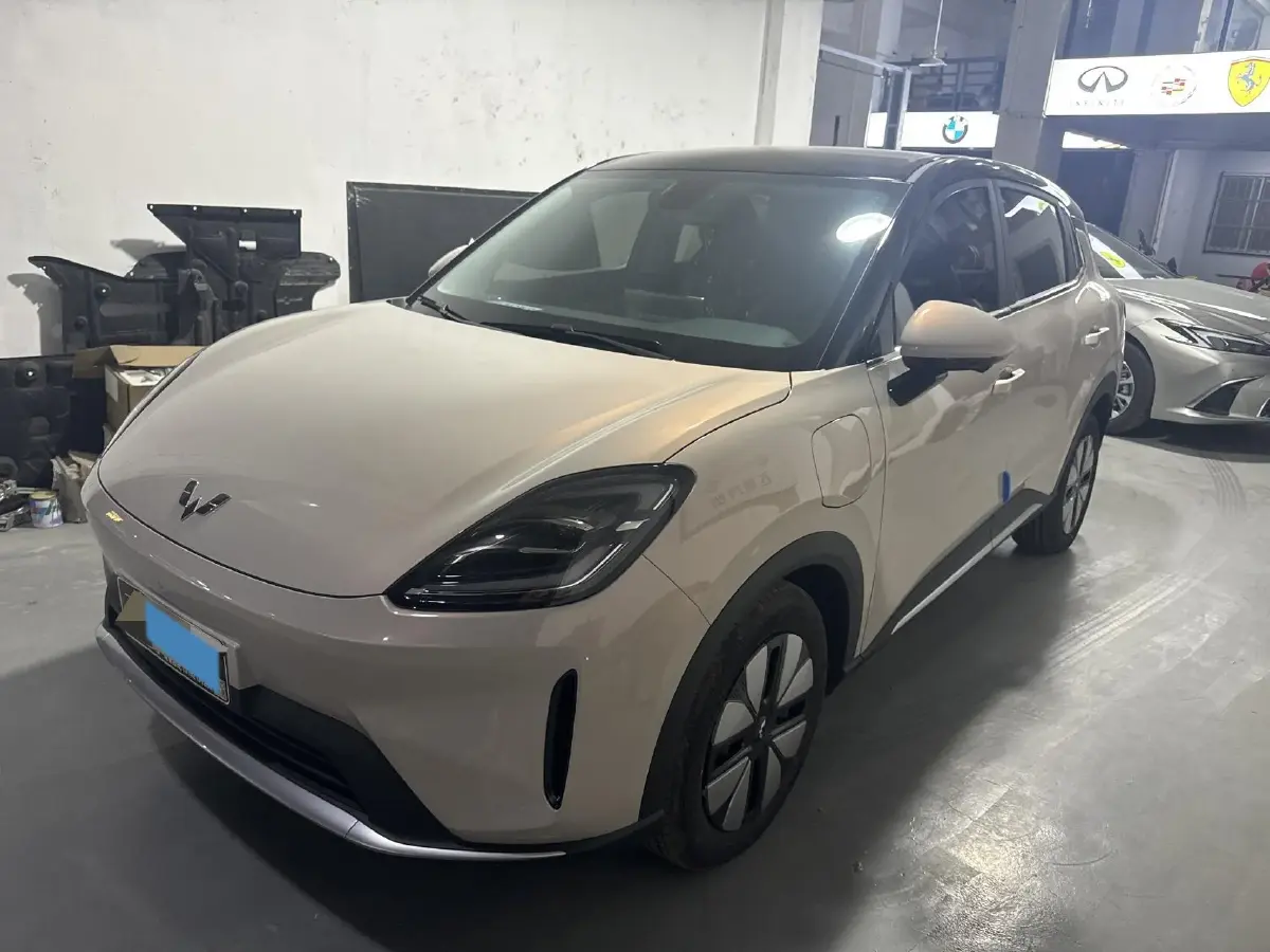 2025 WuLing BinGuo S BEV