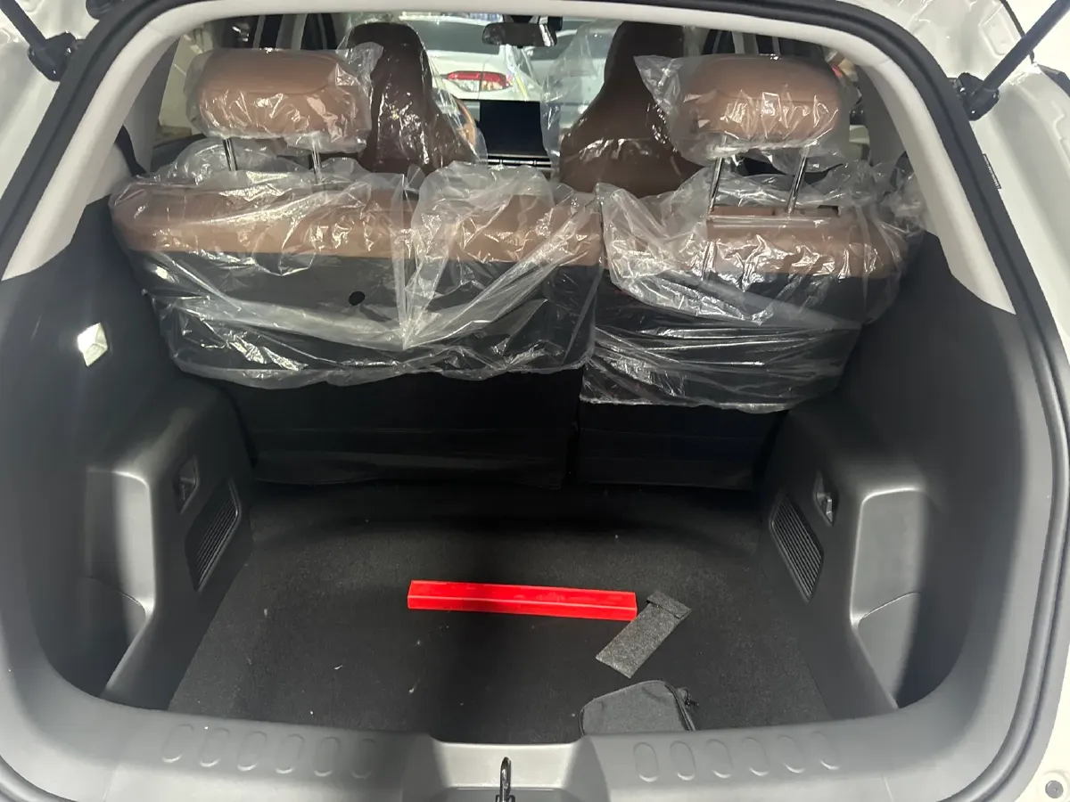 2025 WuLing BinGuo S BEV,autocango,china used car exporter,china ev exporter,chinese used car exporter,chinese used ev exporter