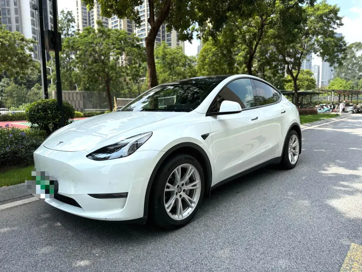 2021 TESLA MODEL view 1