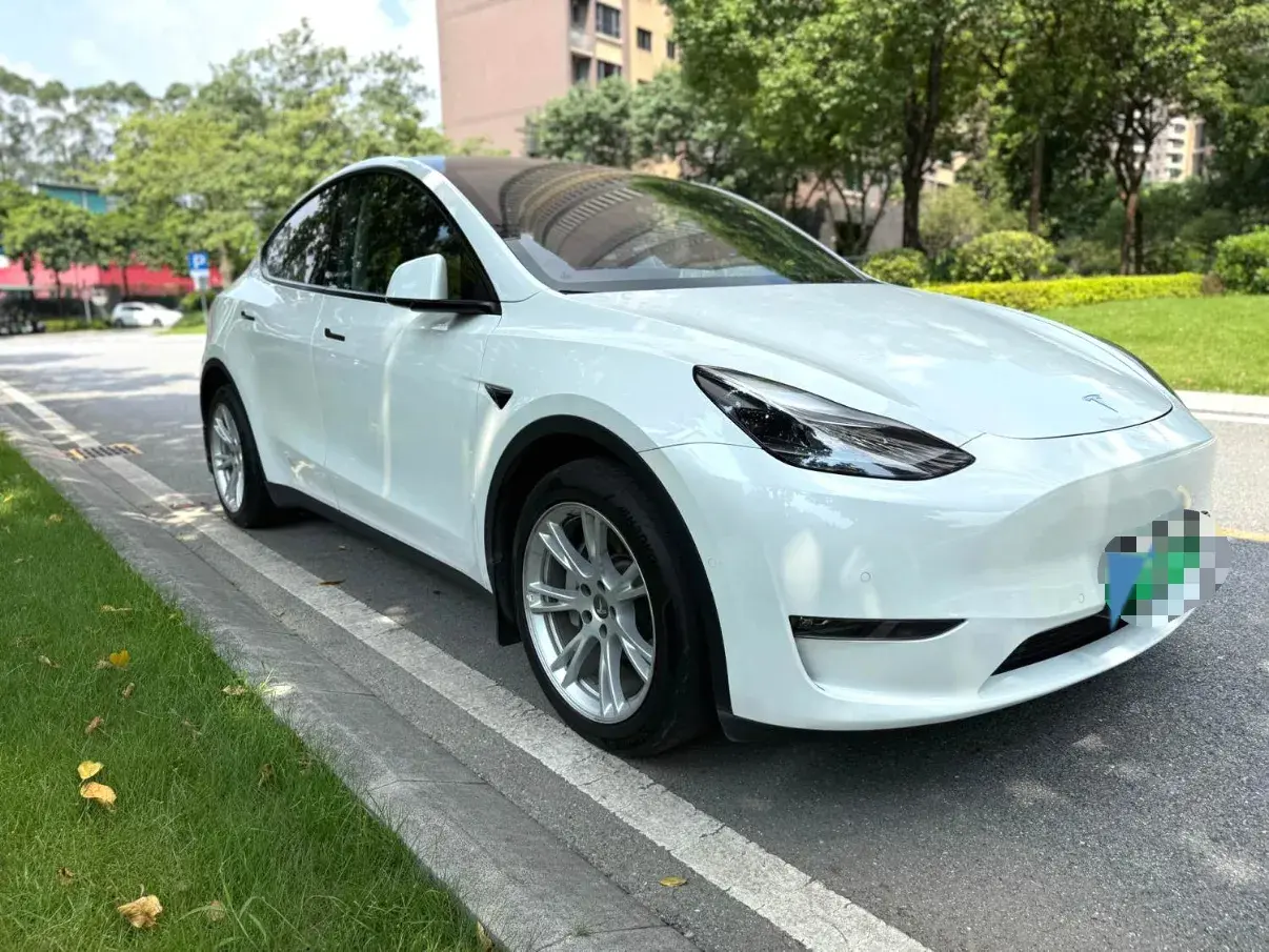 2021 TESLA MODEL thumbnail 3