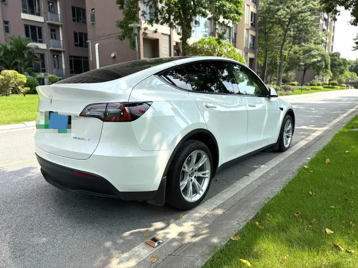 2021 TESLA MODEL thumbnail 4