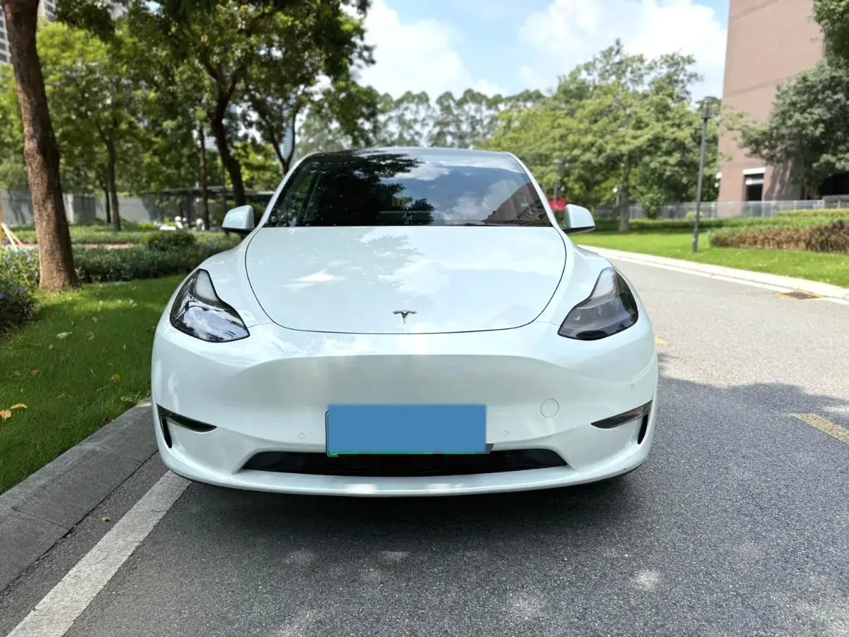 2021 TESLA MODEL thumbnail 2