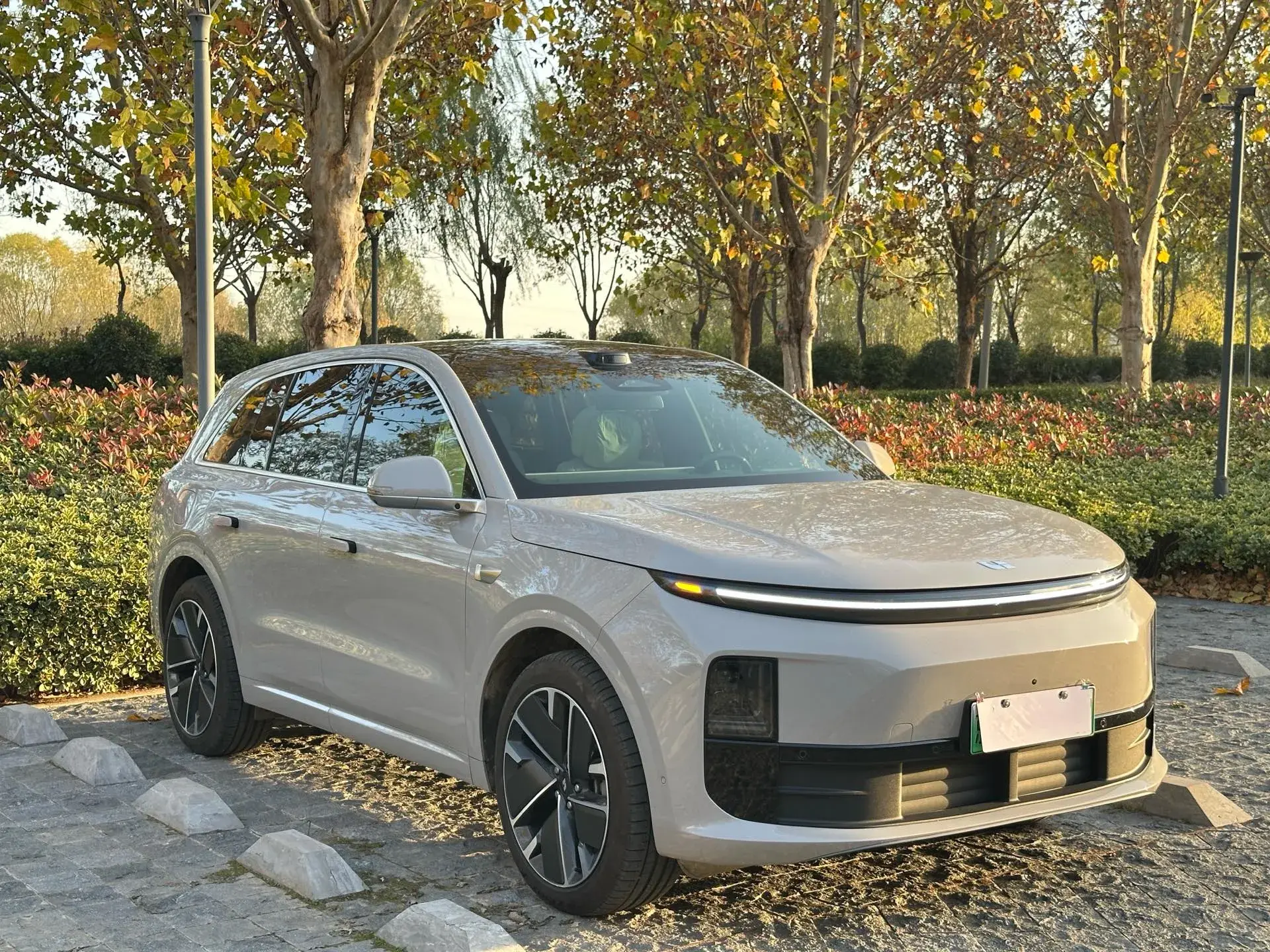 2025 LI L6 thumbnail 3