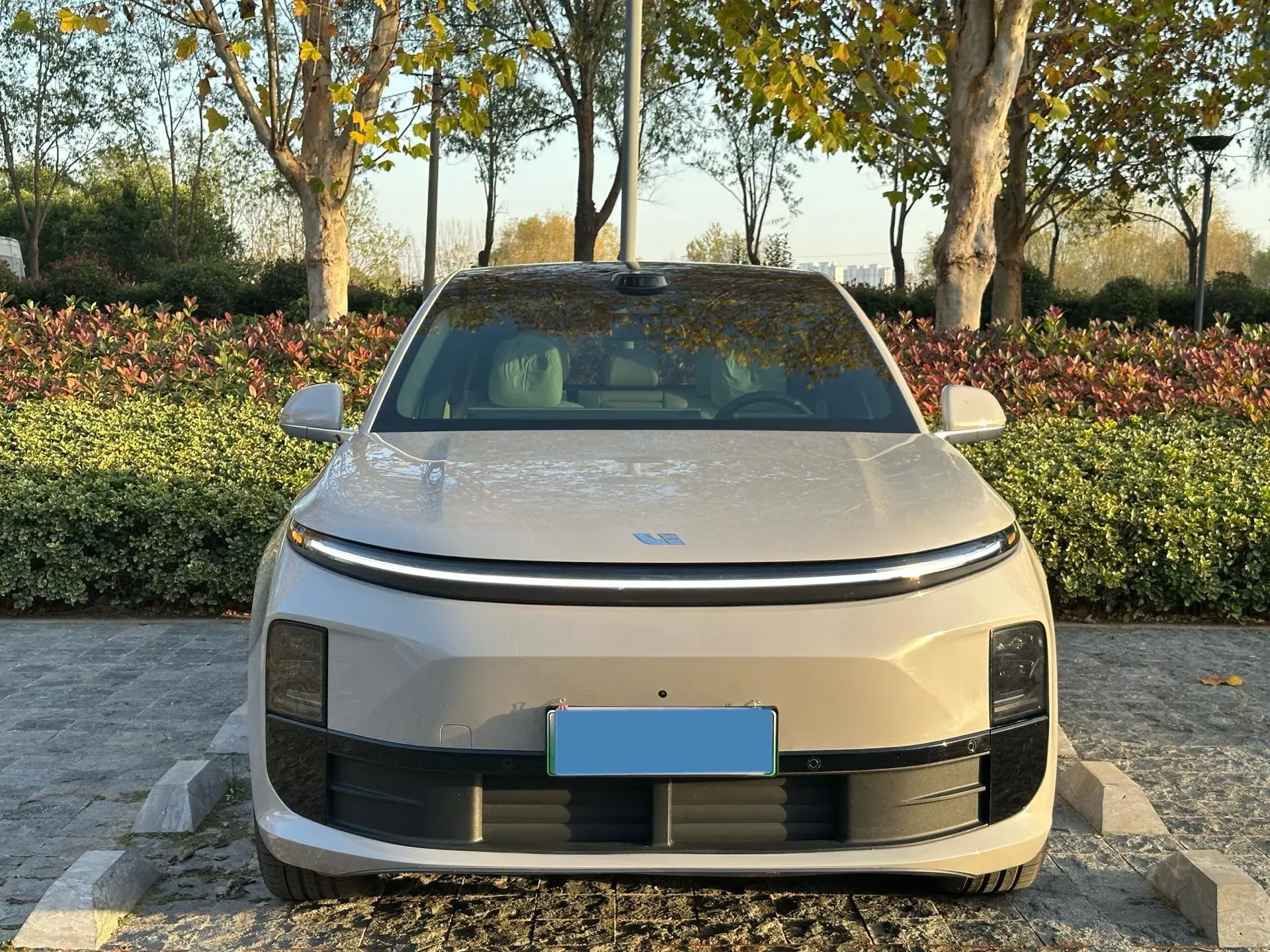 2025 LI L6 thumbnail 2