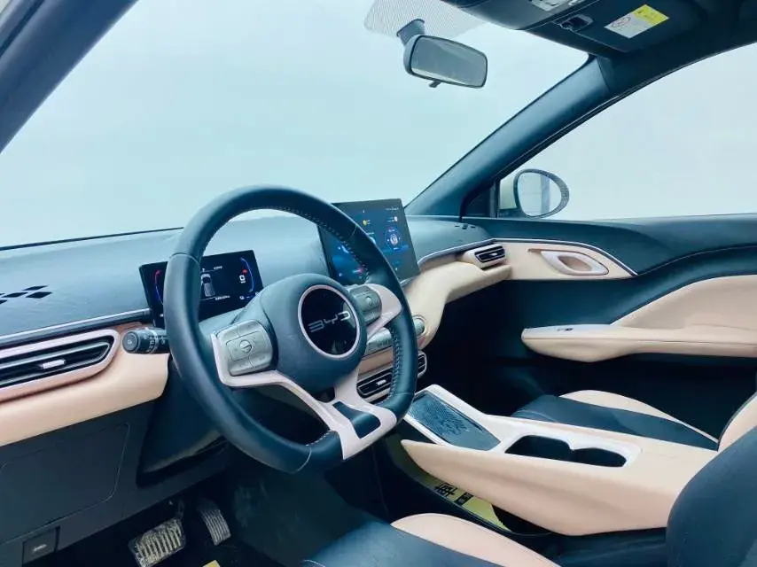 2025 BYD SEAGULL thumbnail 4