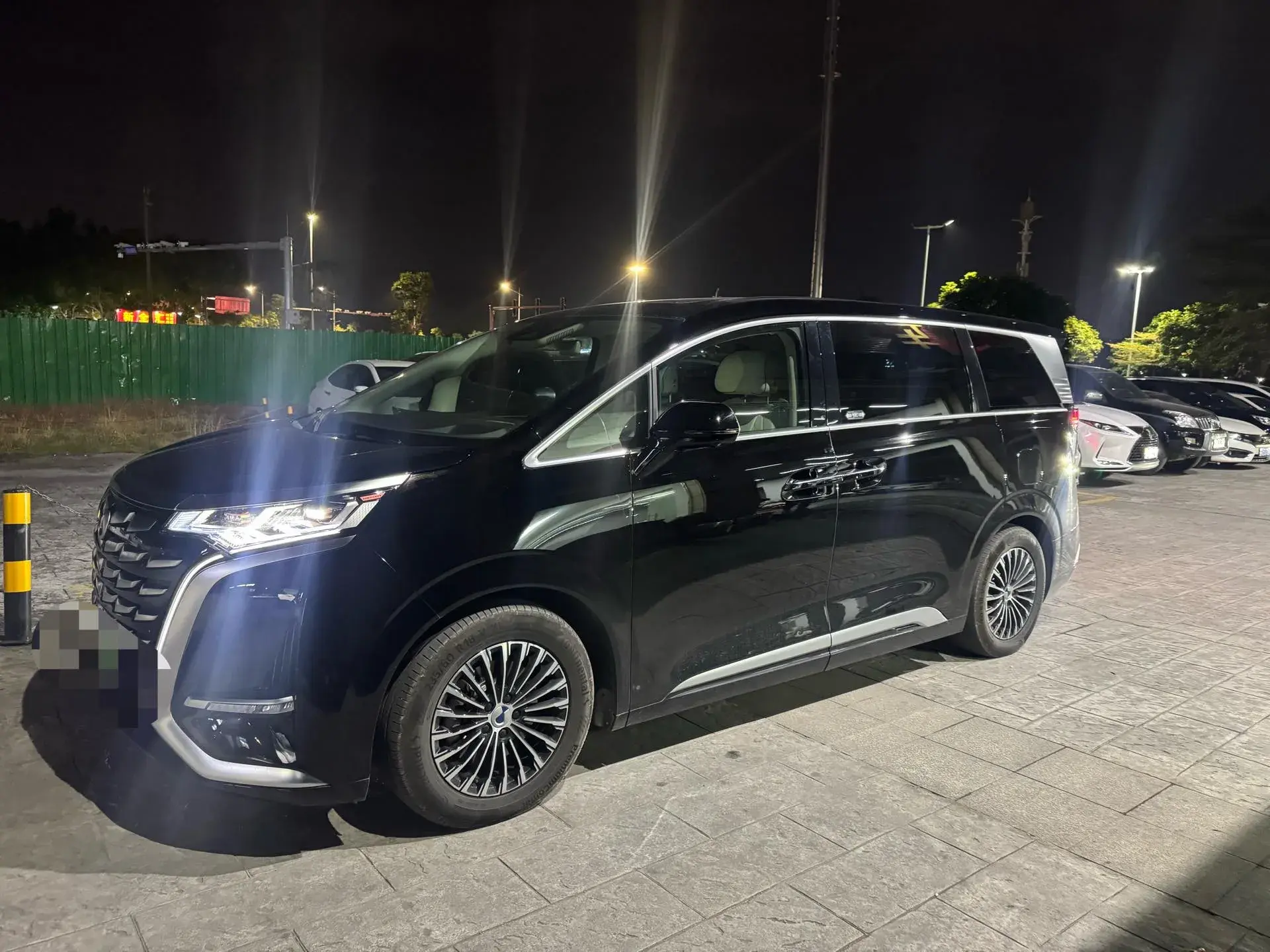 2024 DENZA D9 view 1