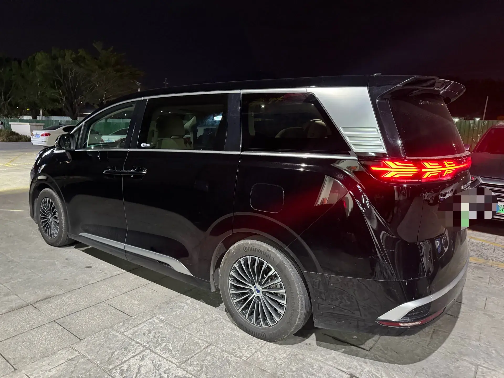 2024 DENZA D9 thumbnail 2