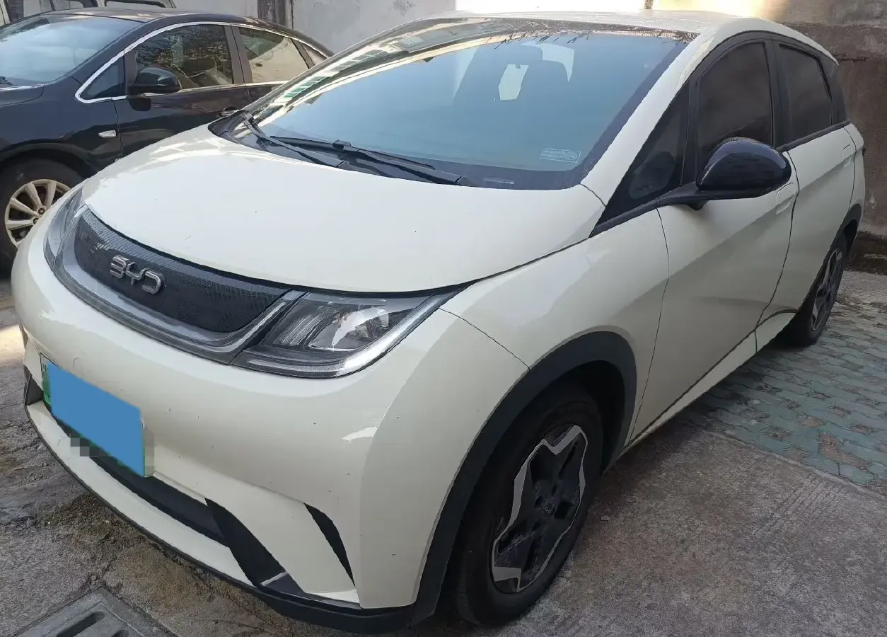 2024 BYD Dolphin BEV 44.928KWH