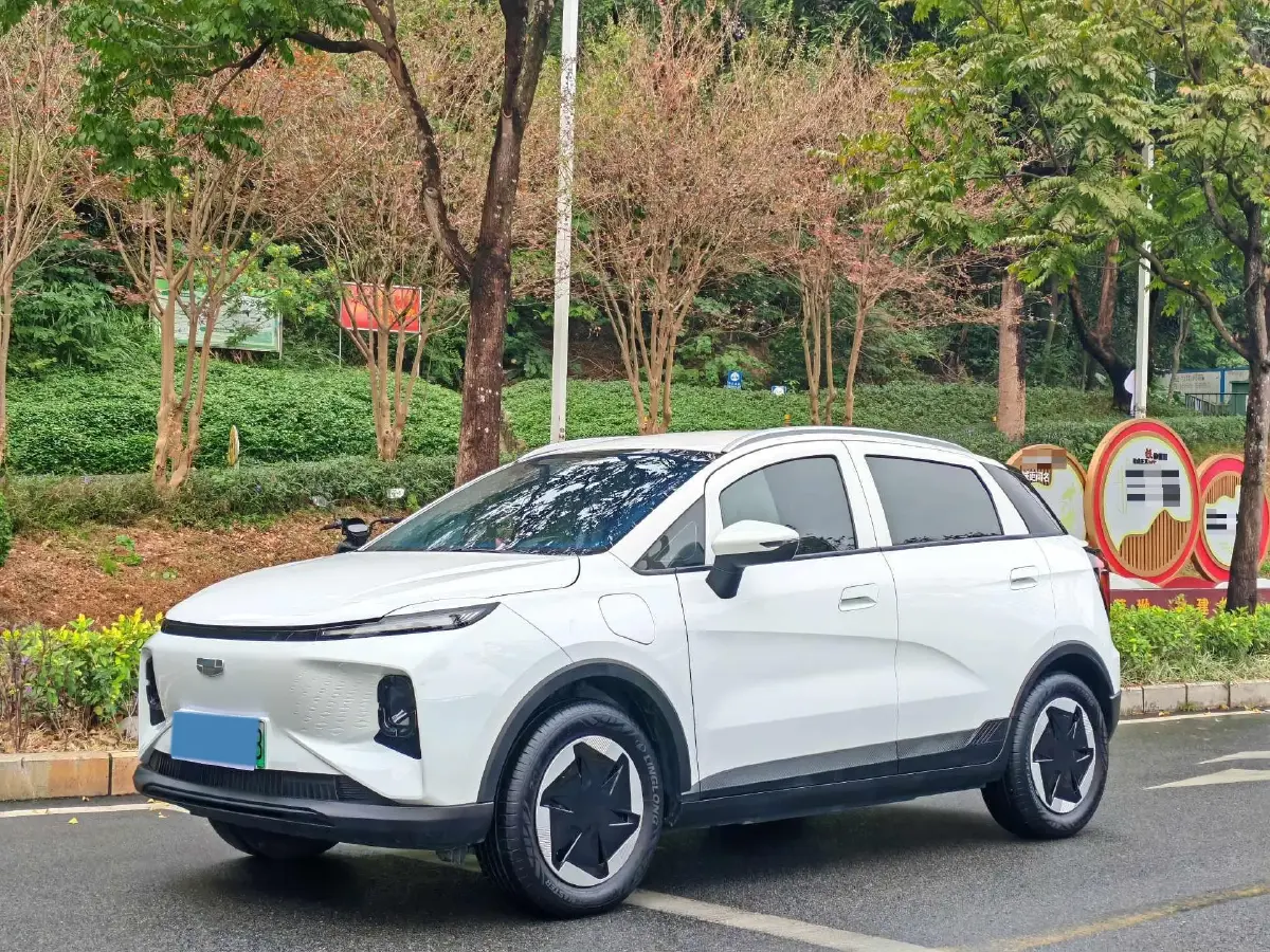 2024 Geometry E BEV 29.67KWH