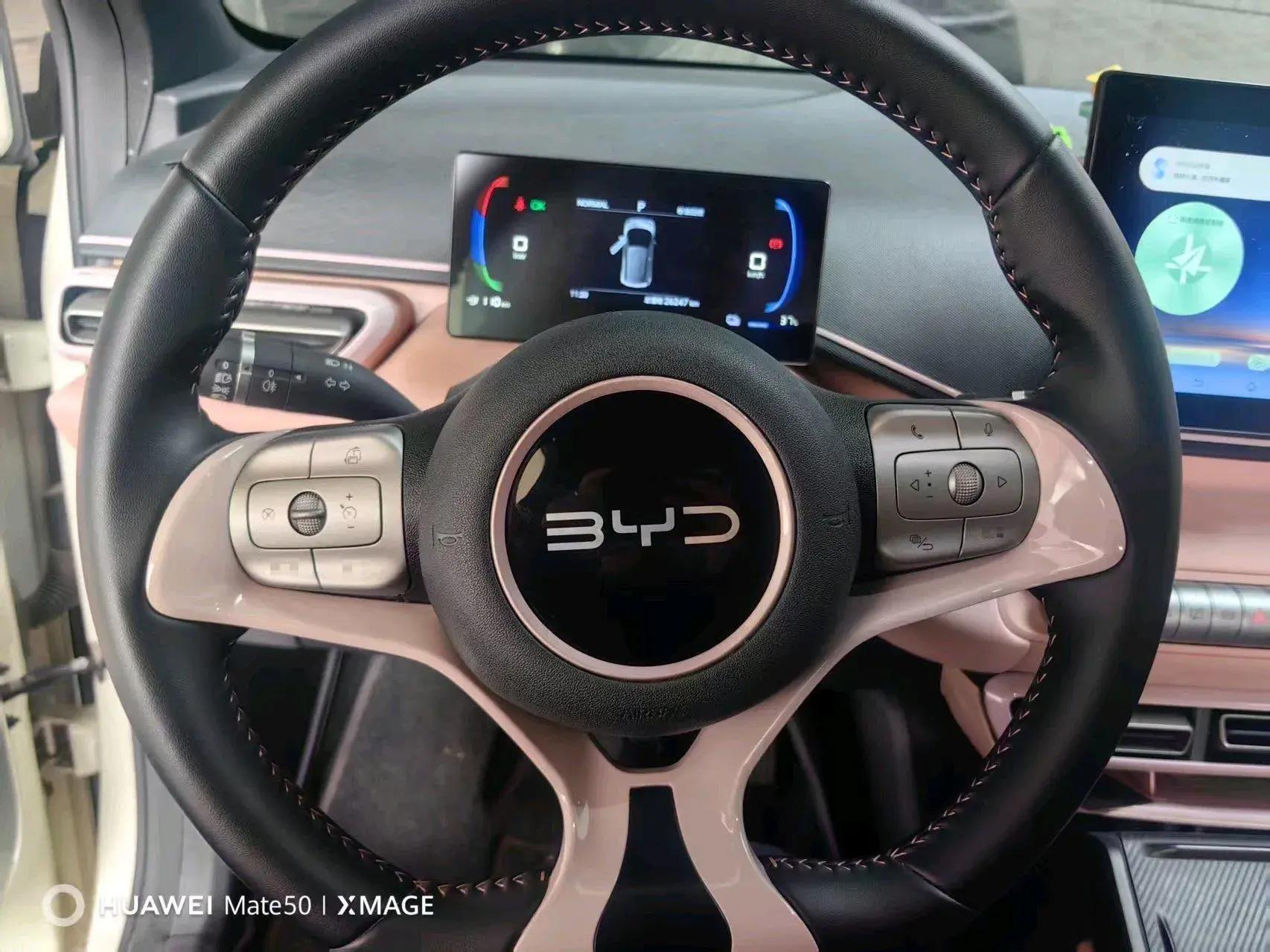 2024 BYD SEAGULL thumbnail 4