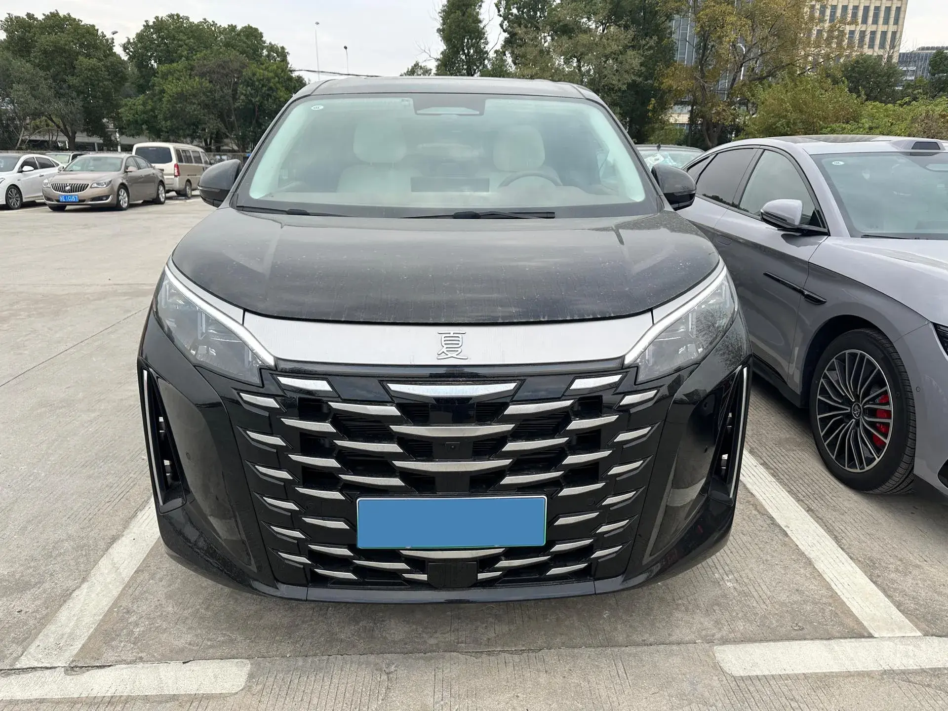 2025 BYD XIA thumbnail 2