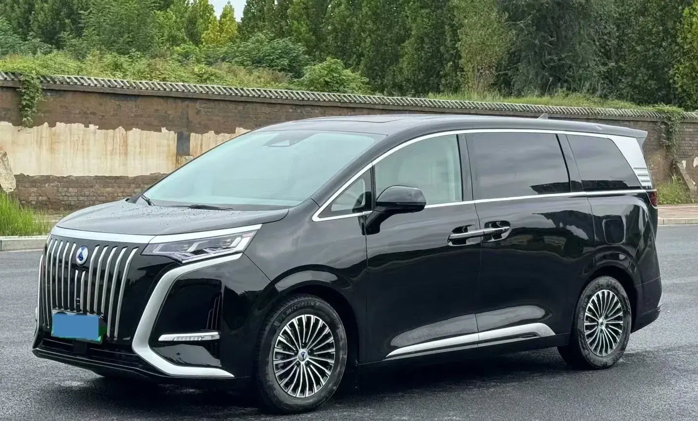 2024 DENZA D9 view 1