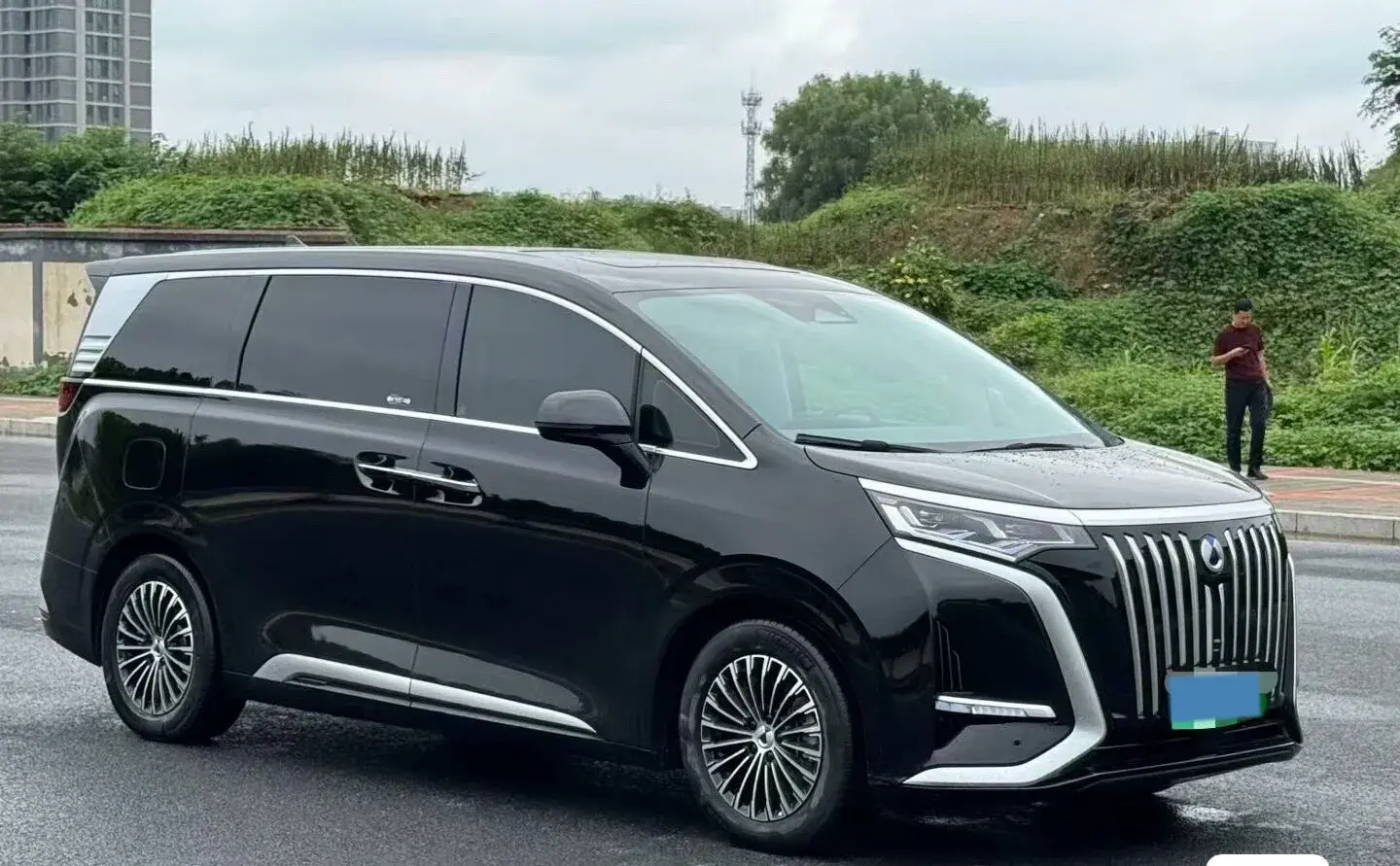 2024 DENZA D9 thumbnail 3