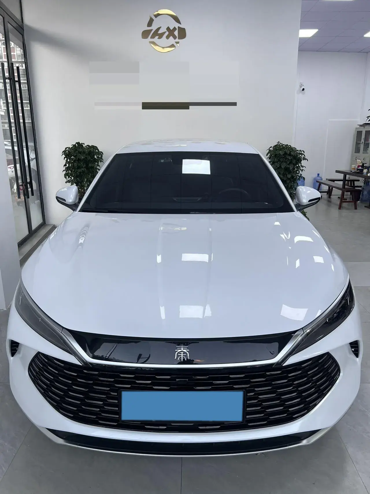 2024 BYD QINL thumbnail 2