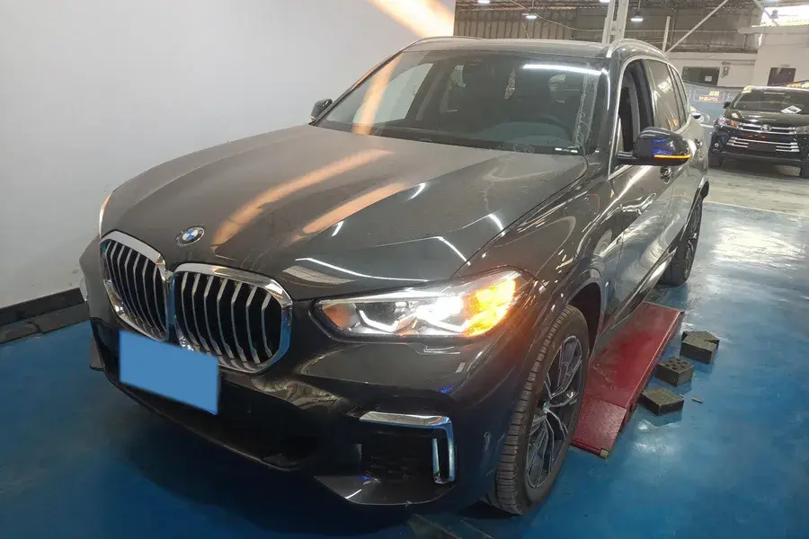 2022 BMW X5 view 1