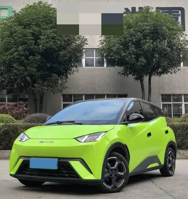 2023 BYD Yuan Pro BEV 38KWH