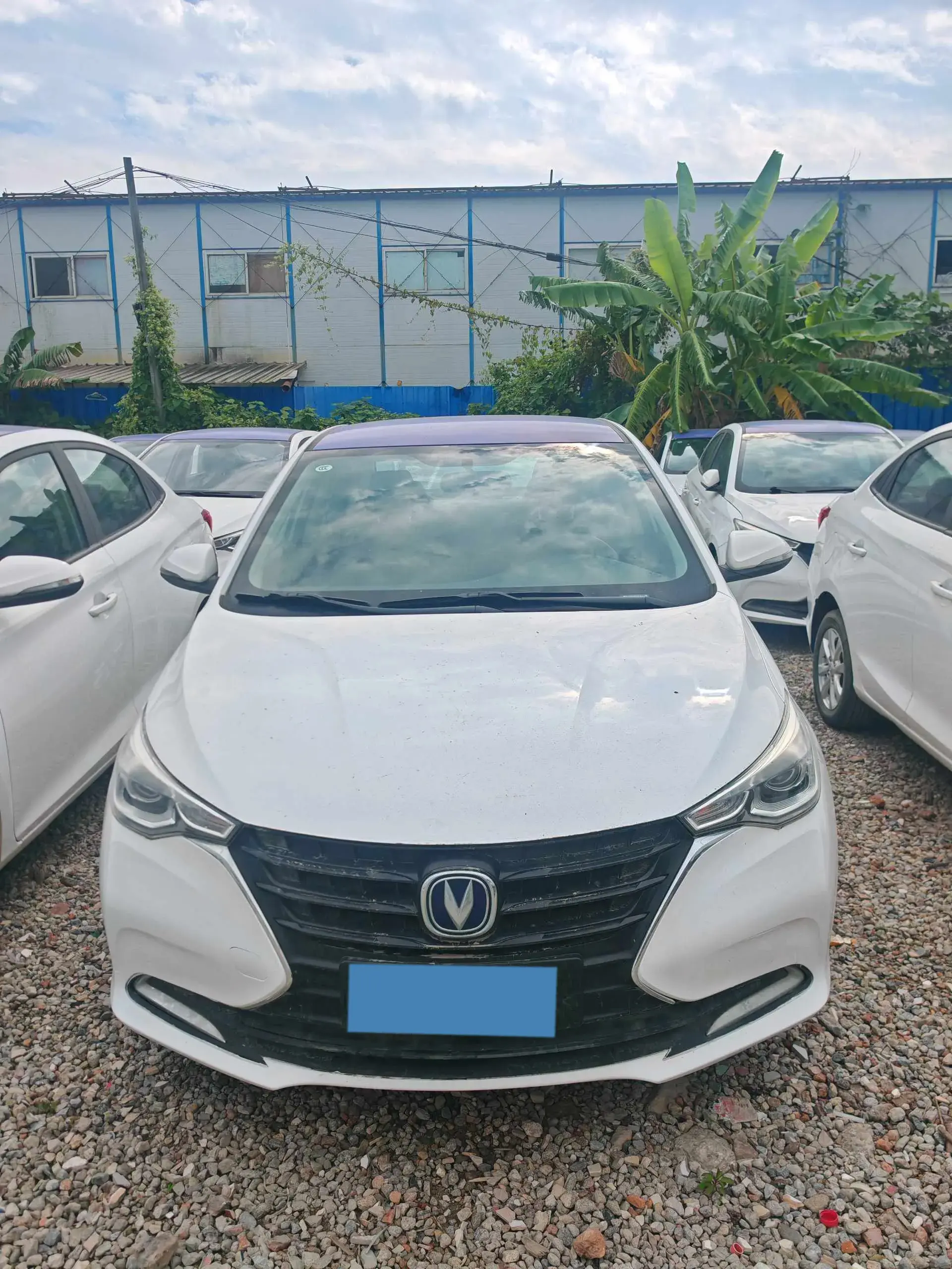 2019 CHANGAN ALSVIN thumbnail 2