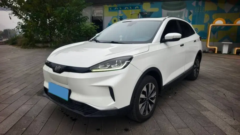 2019 WELTMEISTER EX5 view 1