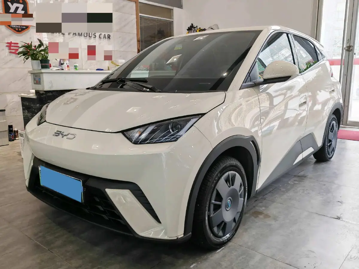 2025 BYD Seagull BEV 30.08KWH