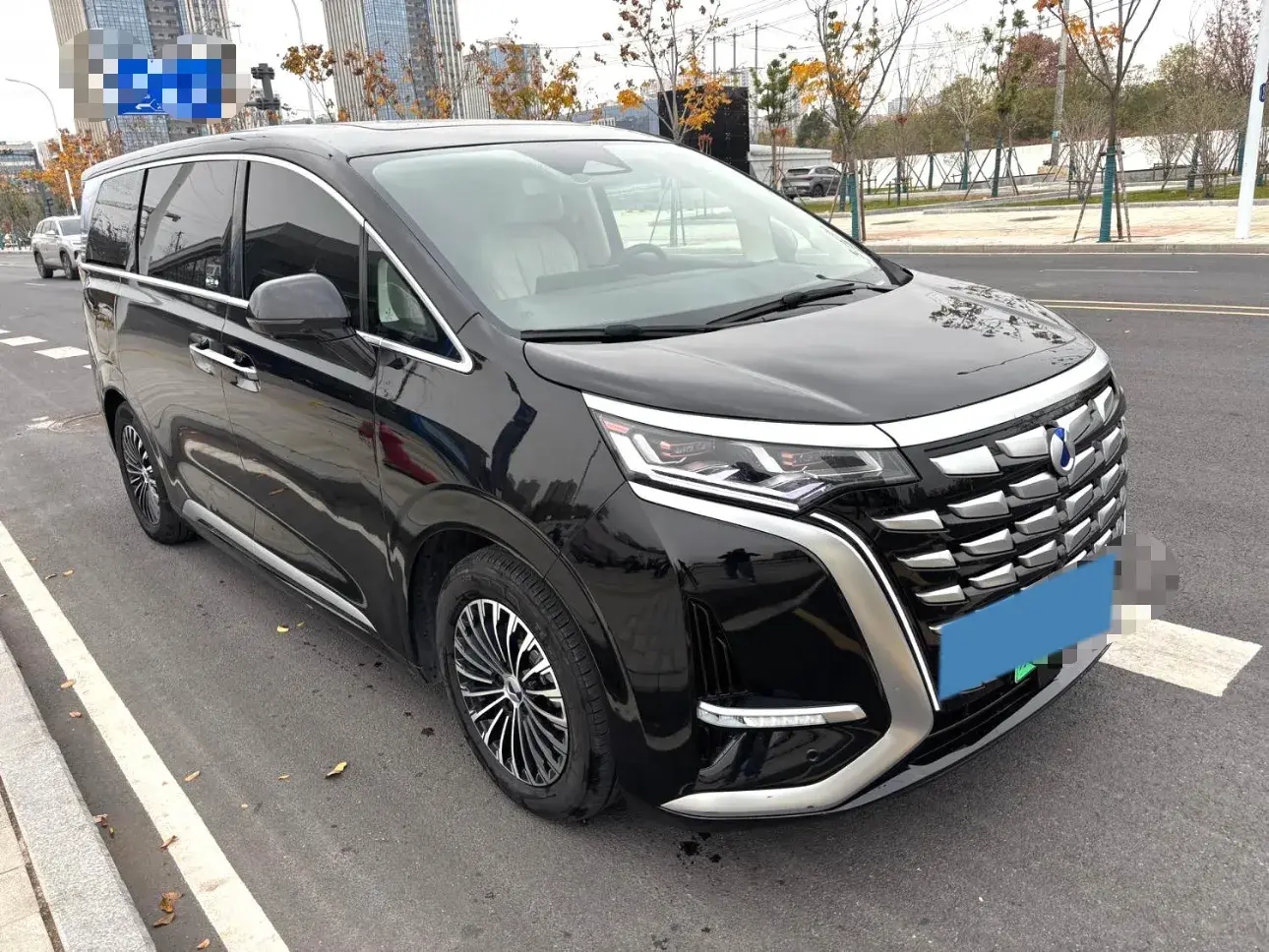 2024 DENZA D9 thumbnail 2