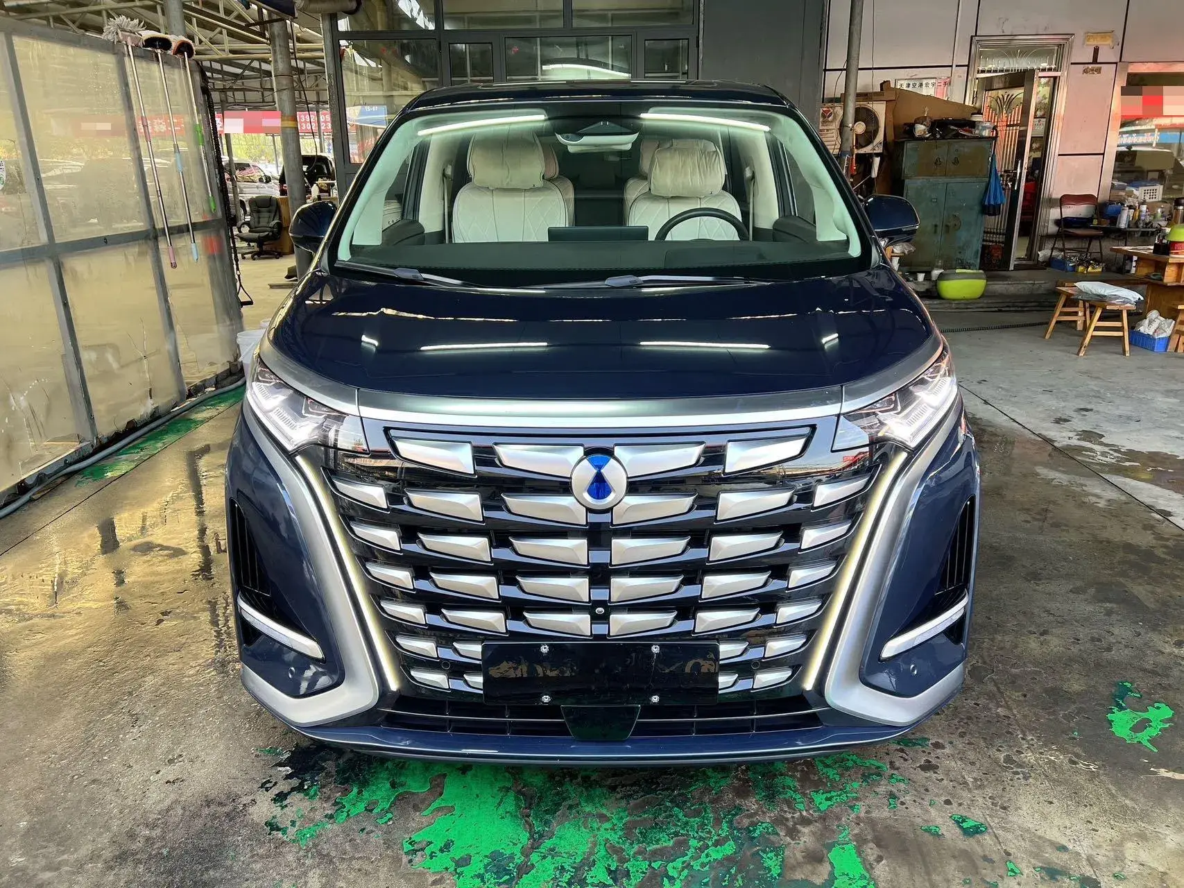 2024 DENZA D9 thumbnail 2