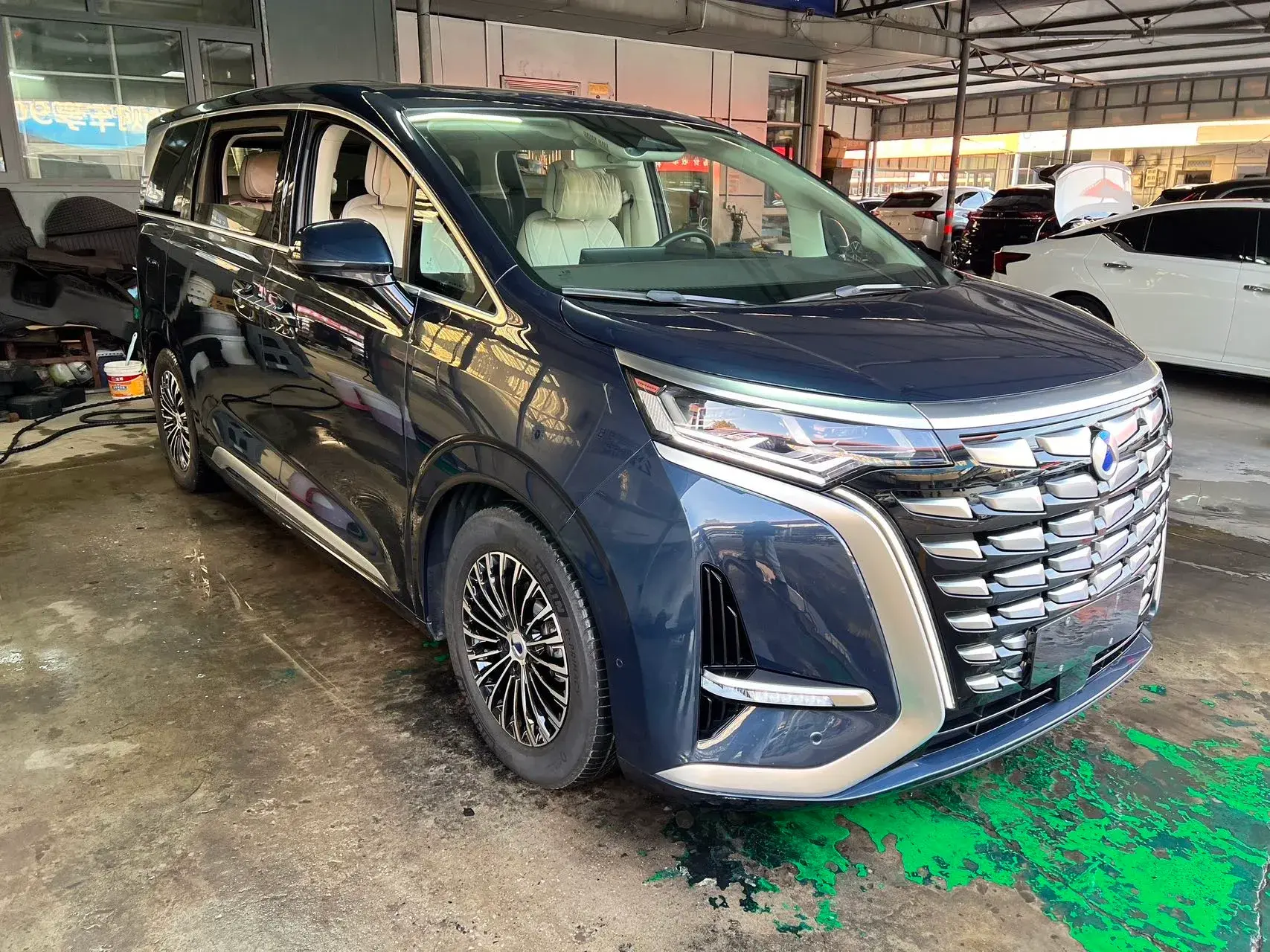 2024 DENZA D9 thumbnail 3