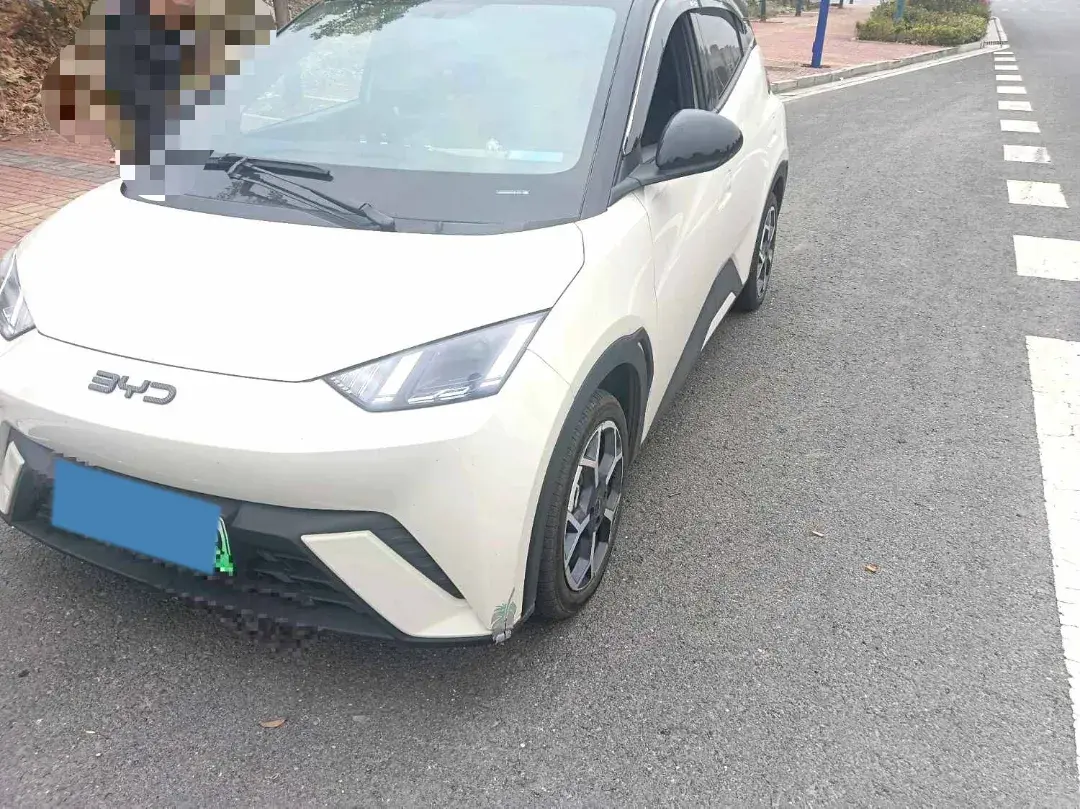 2025 BYD Seagull BEV 30.08KWH