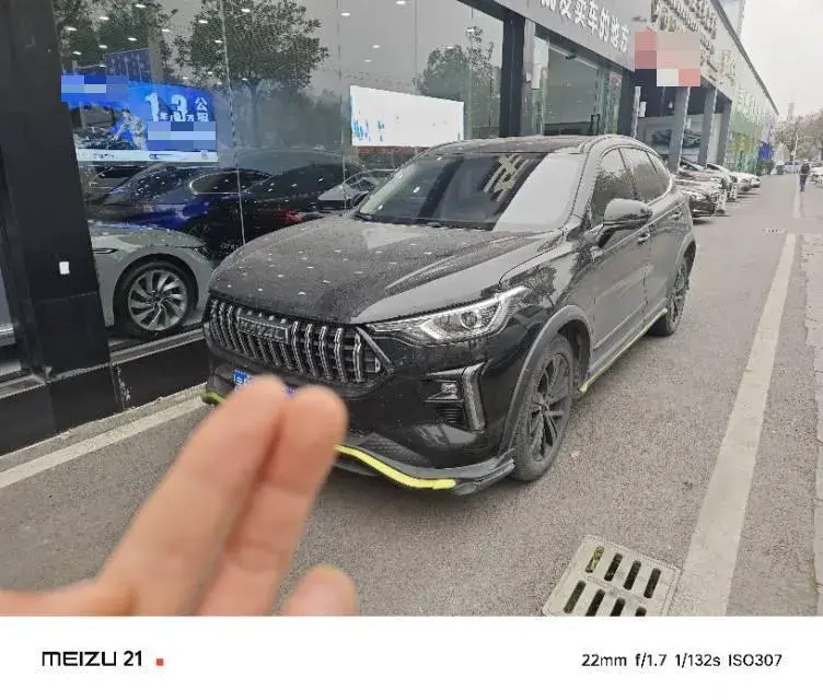 2021 Haval Rabbit 1.5T 184HP L4 7DCT