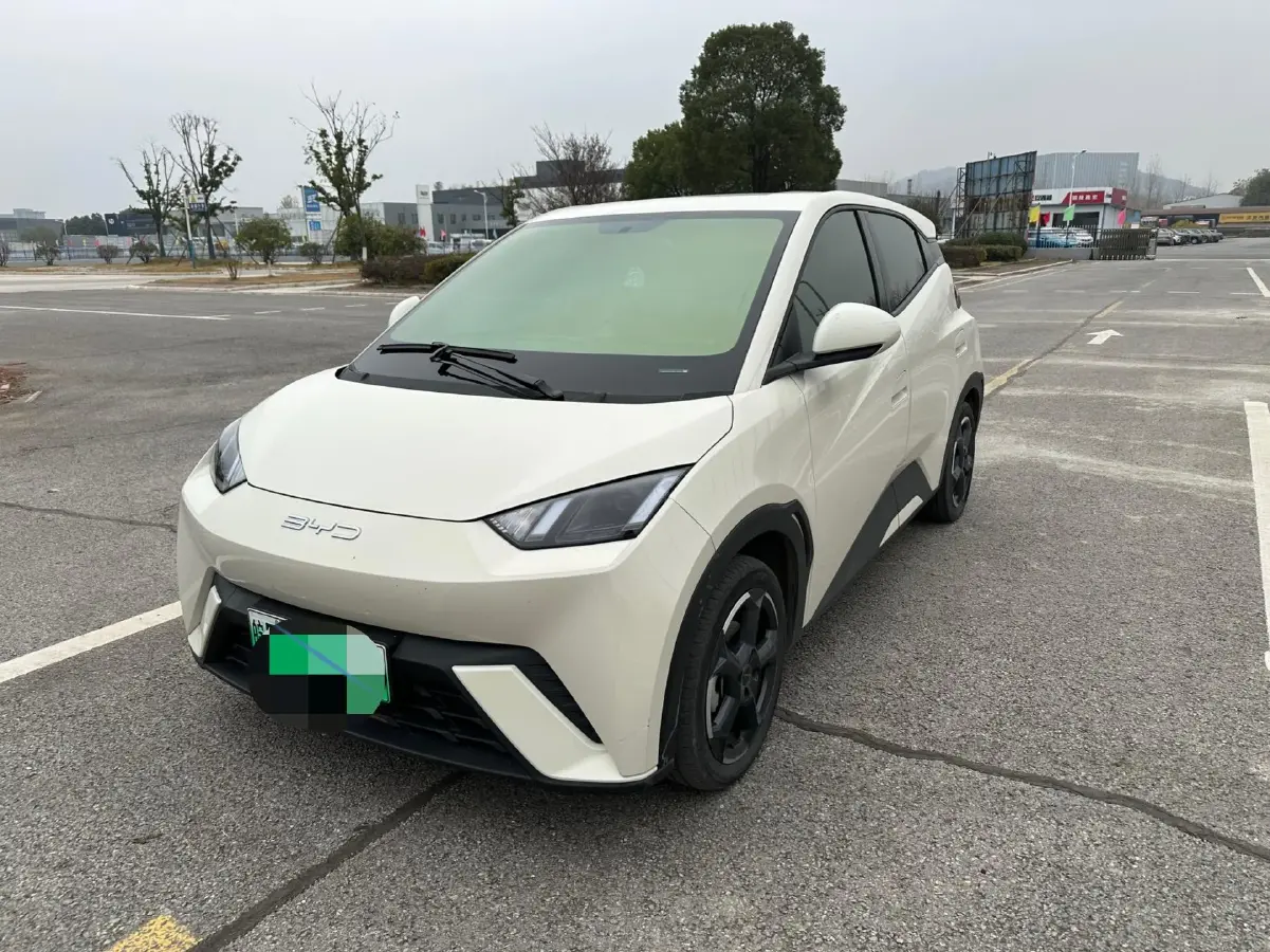 2023 BYD Yuan Pro BEV 38KWH